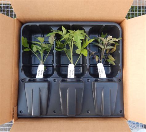 shipping containers for live plants.